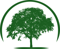 Noah Baumpflege Logo